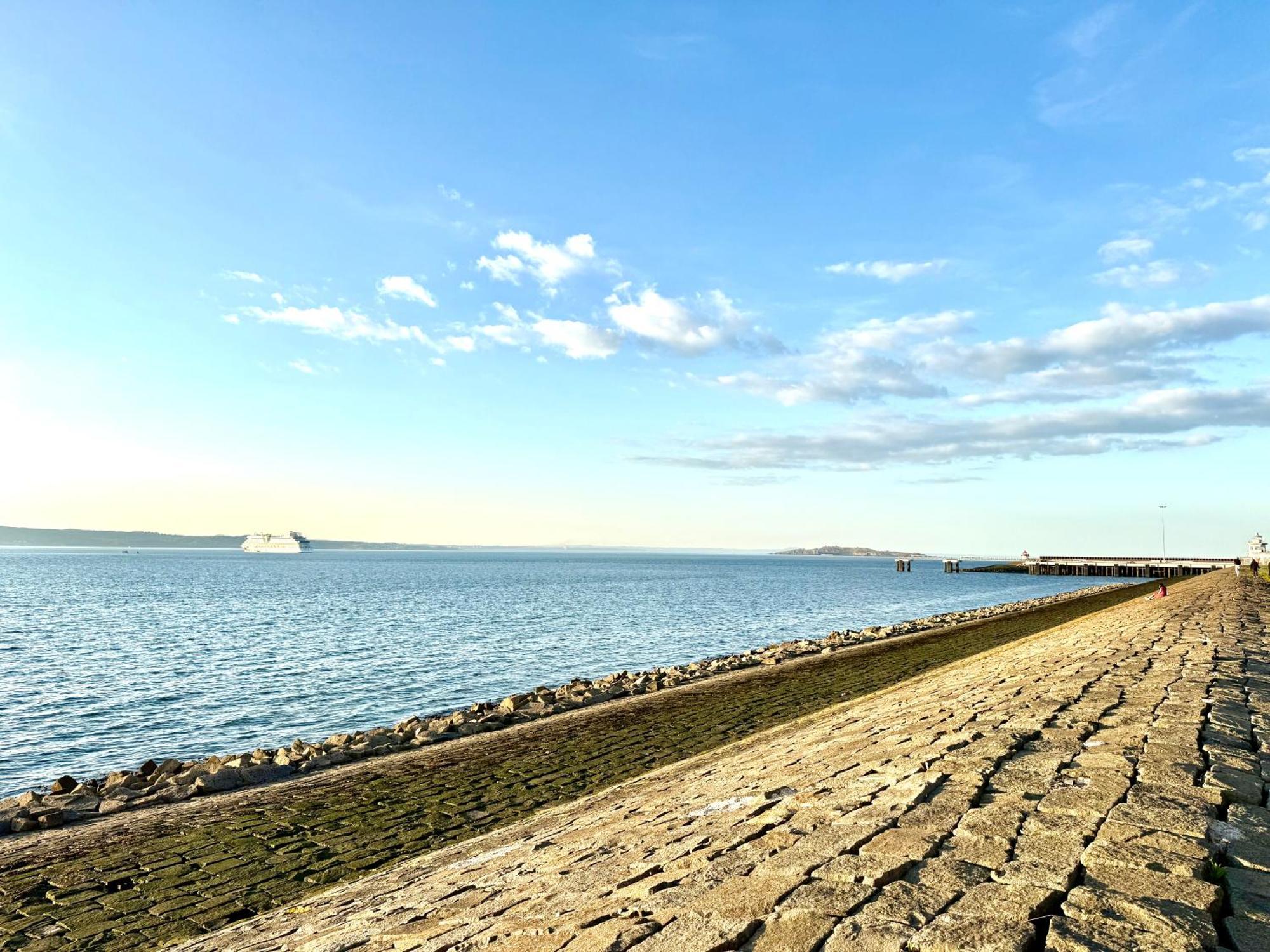 Ocean Park Apartments - Oceanfront - Free Parking And Fast Wifi เอดินบะระ ภายนอก รูปภาพ